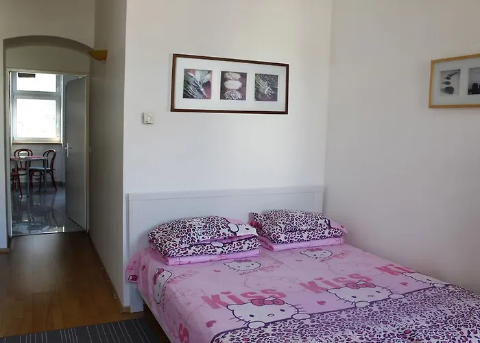 Premium Klimschgasse Apartment